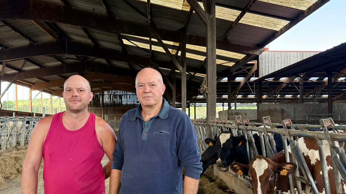 Sommet de l'élevage : France Info met en lumière la location de vaches