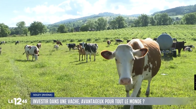 MyMarguerit dans le 12.45 de M6