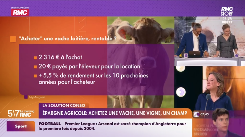 MyMarguerit mis en avant par RMC "investir dans... une vache peut être très rentable"