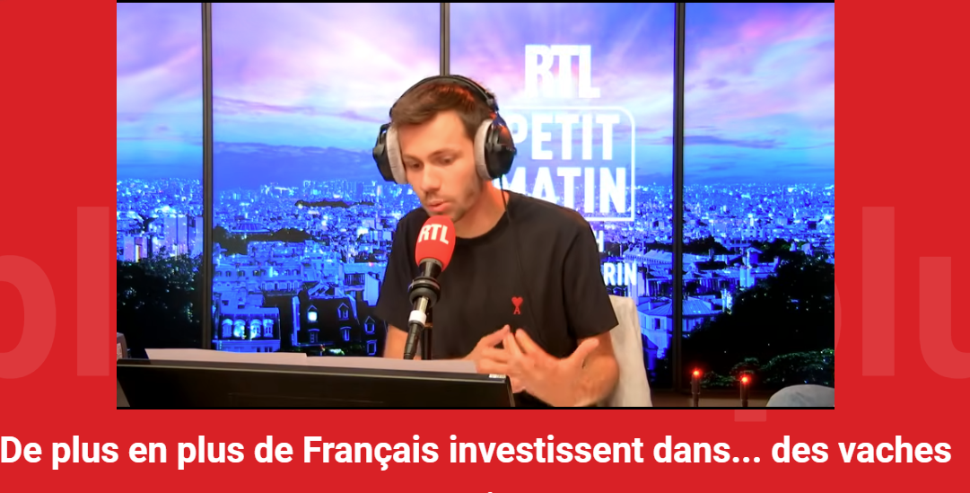 RTL Vous allez en entendre parler "de plus en plus de Français investissent dans des vaches"