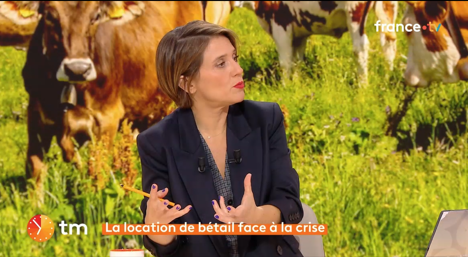 Télématin sur France 2 "Investir dans les vaches cela rapporte"