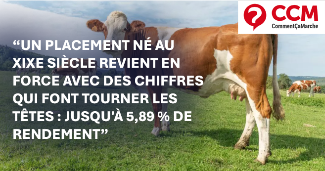 MyMarguerit mis en avant par Comment Ça Marche