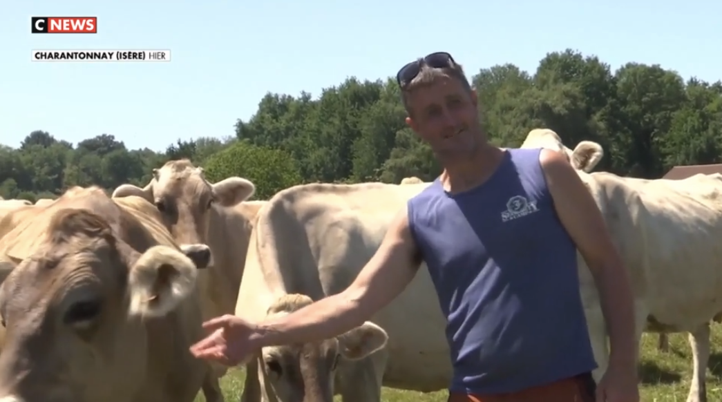 MyMarguerit dans CNEWS:  « Agriculteurs : vers la location de vaches ? ».