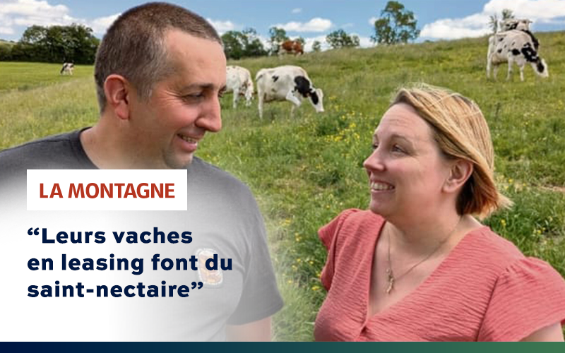 La Montagne : quand l'épargne soutient la production de Saint-Nectaire AOP