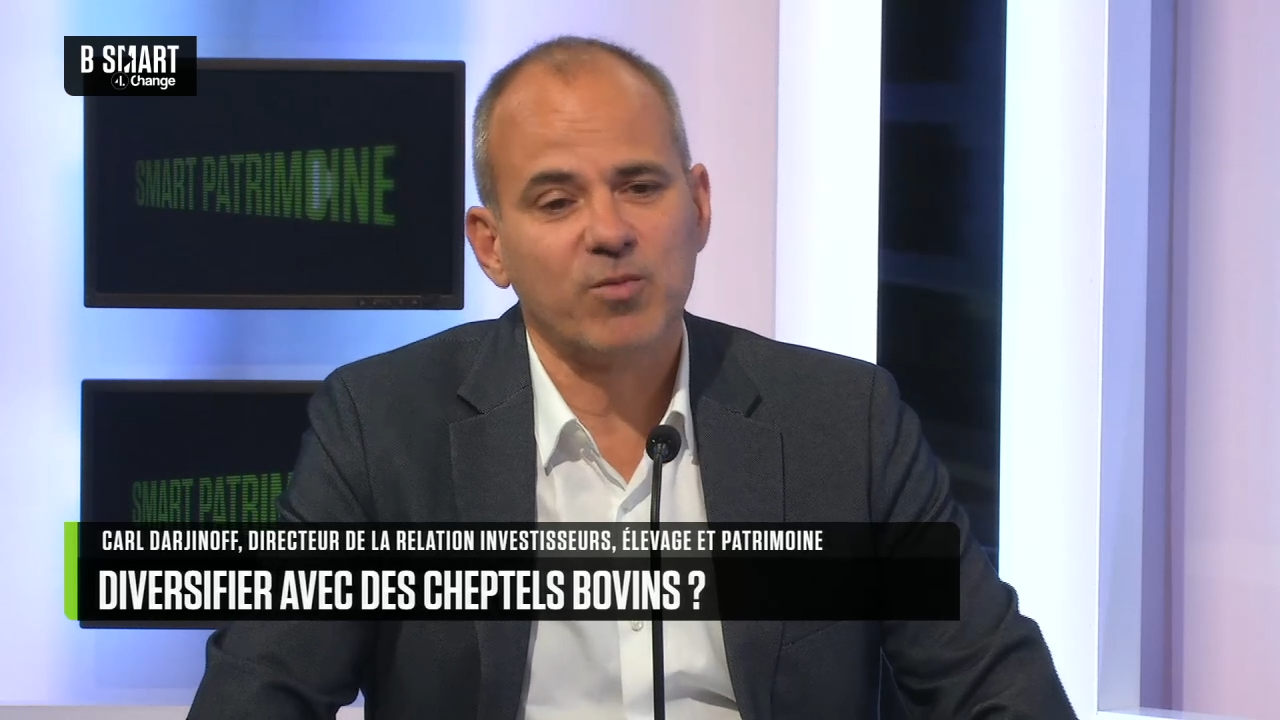 Interview BeSmart de Carl Darjinoff sur l’investissement en cheptel bovin