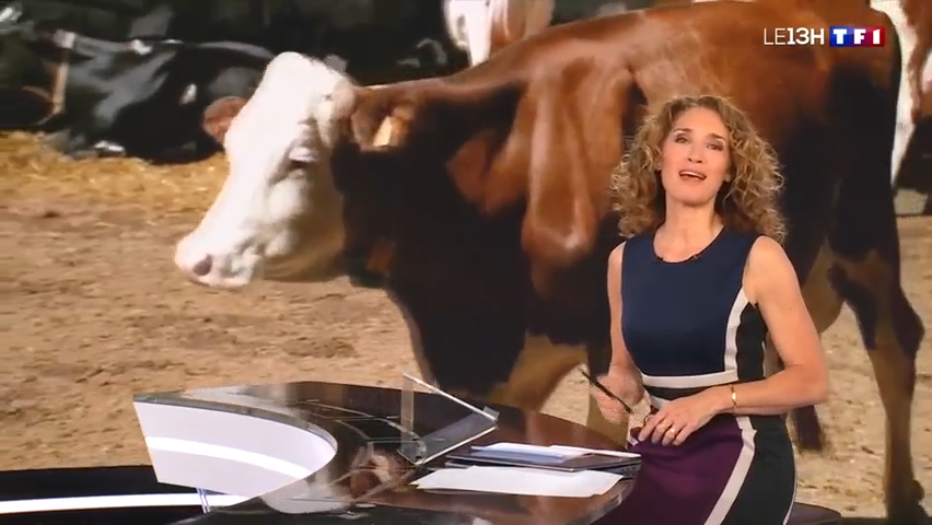 MyMarguerit dans le JT de TF1 « Placements : pensez aux vaches plutôt qu’au Livret A »