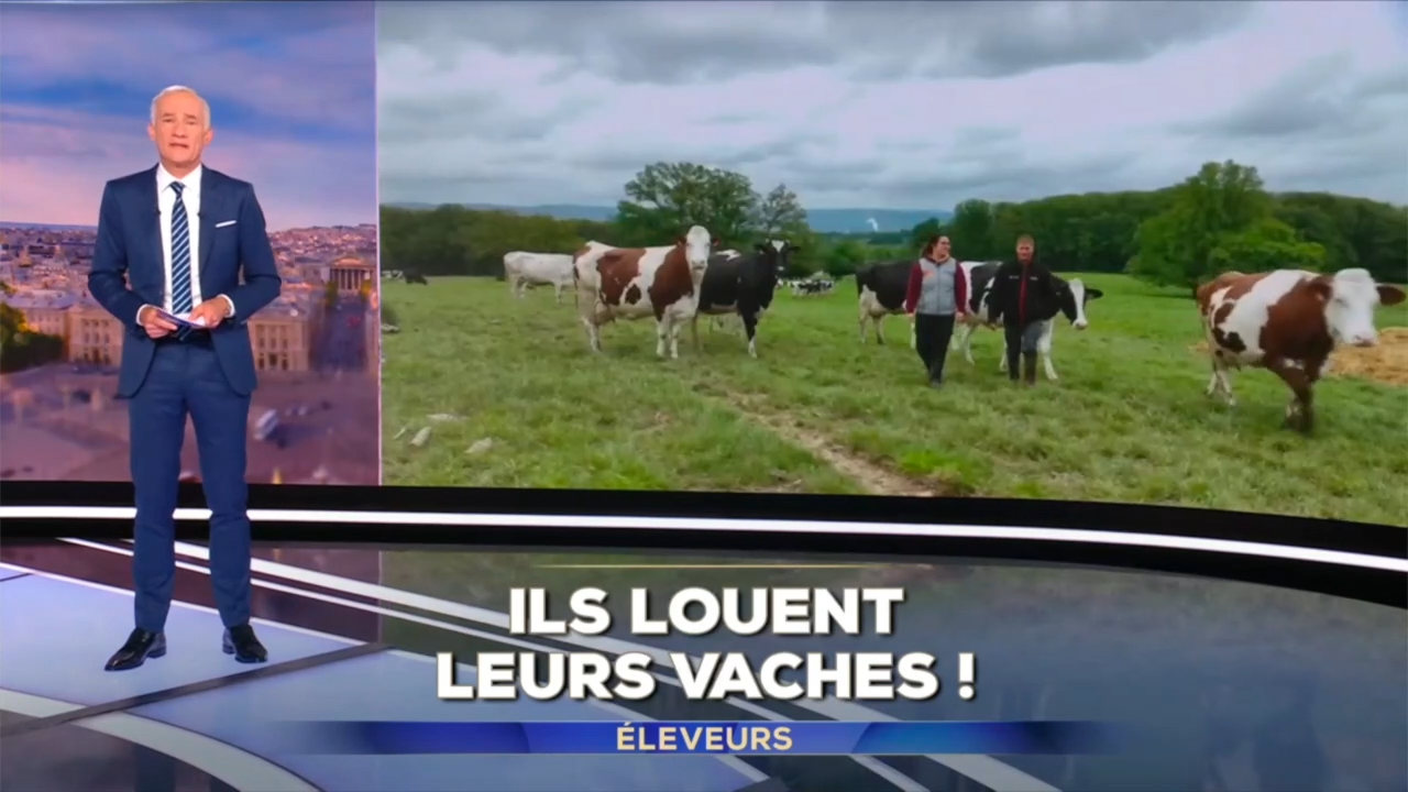 JT de 20H de TF1 du jeudi 2 mai 2024 - Ils louent leurs vaches