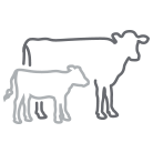 -Vache-laitiere-