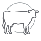 PICTO-vache-tarie